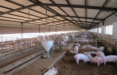 润民通过国家级生猪养殖综合标准化示范区考核验收